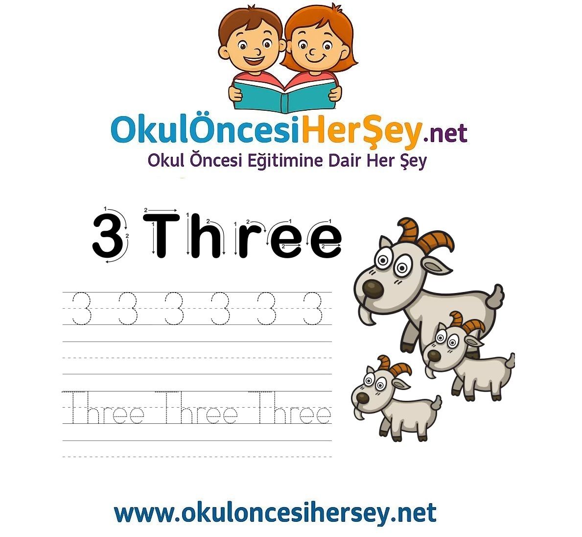 Çizgi Çalışmaları