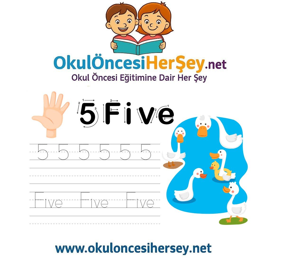 Çizgi Çalışmaları