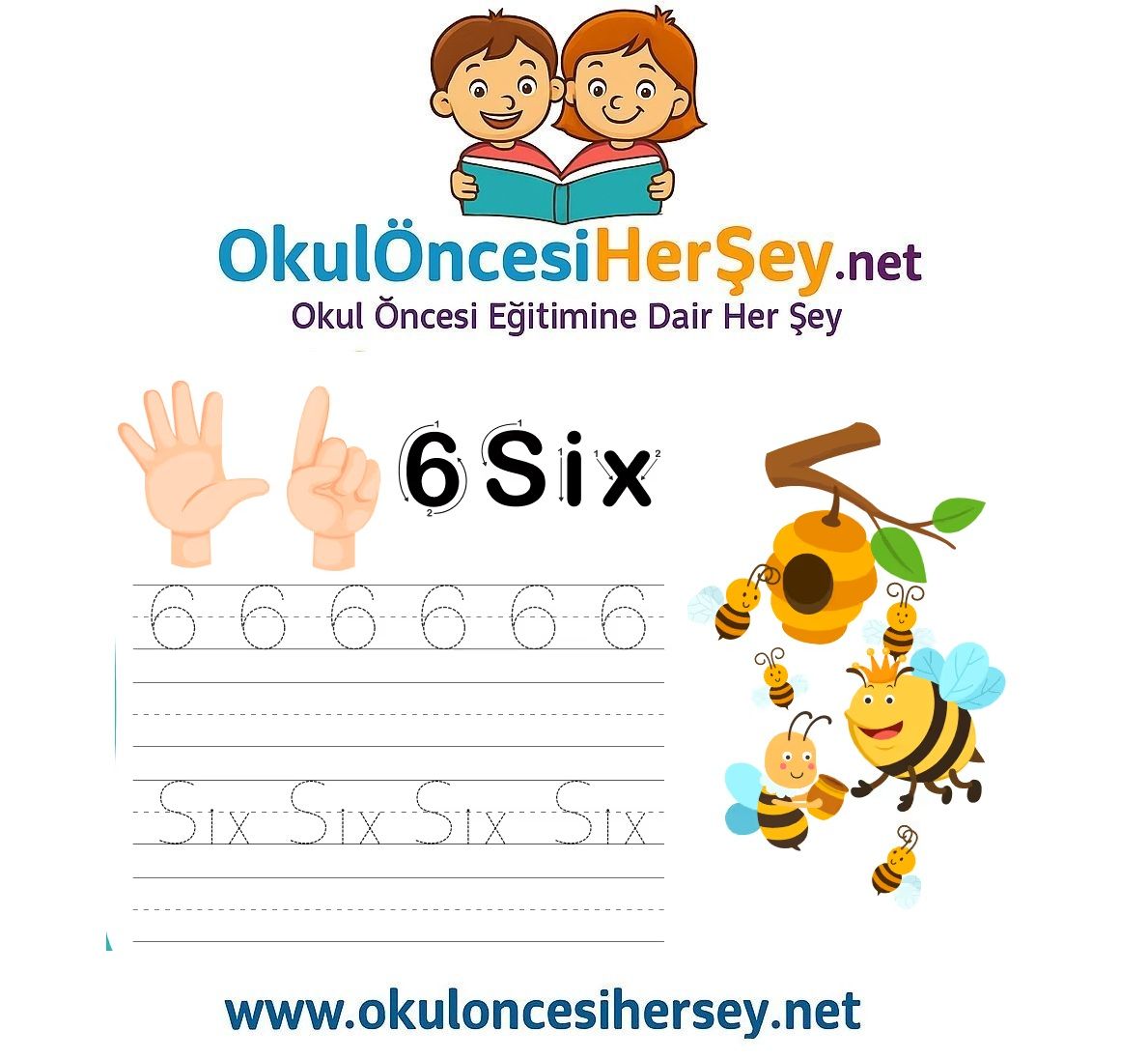 Çizgi Çalışmaları