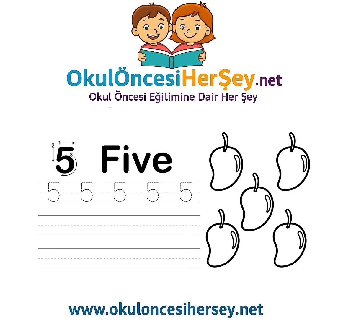 Çizgi Çalışmaları