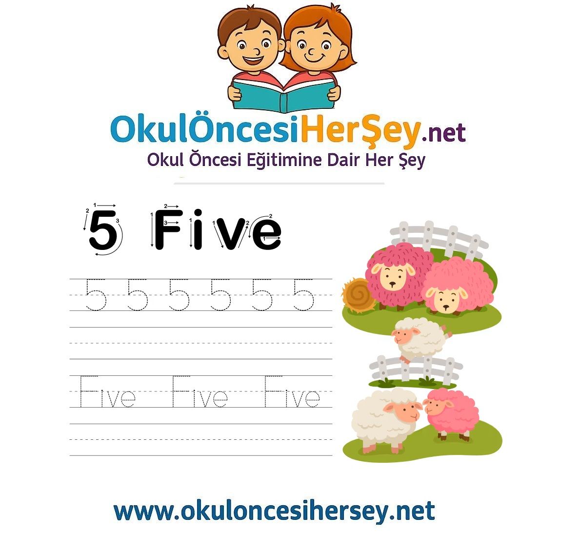 Çizgi Çalışmaları