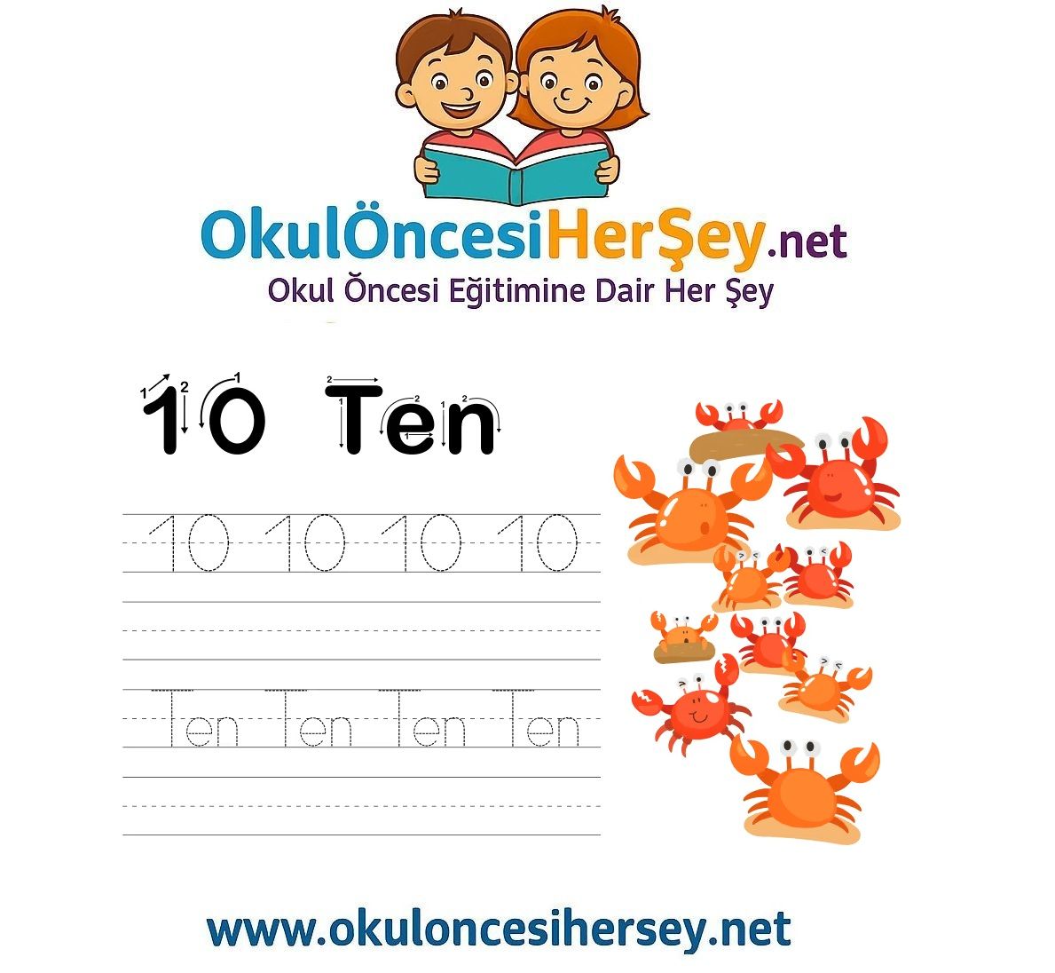 Çizgi Çalışmaları