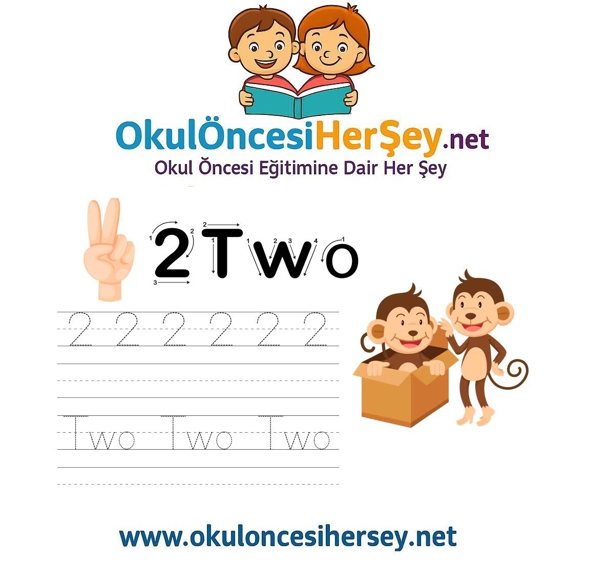 Çizgi Çalışmaları