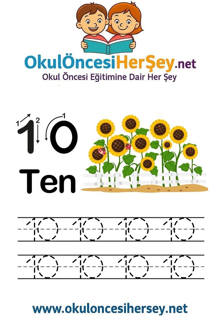 Çizgi Çalışmaları