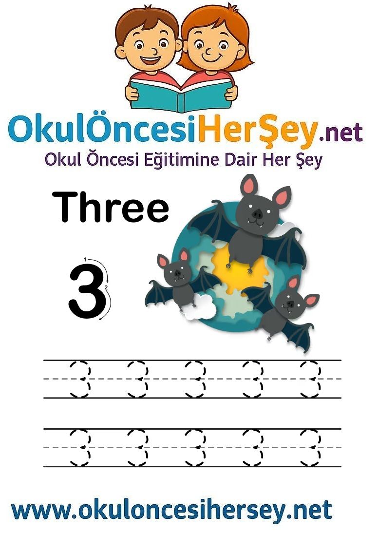 Çizgi Çalışmaları