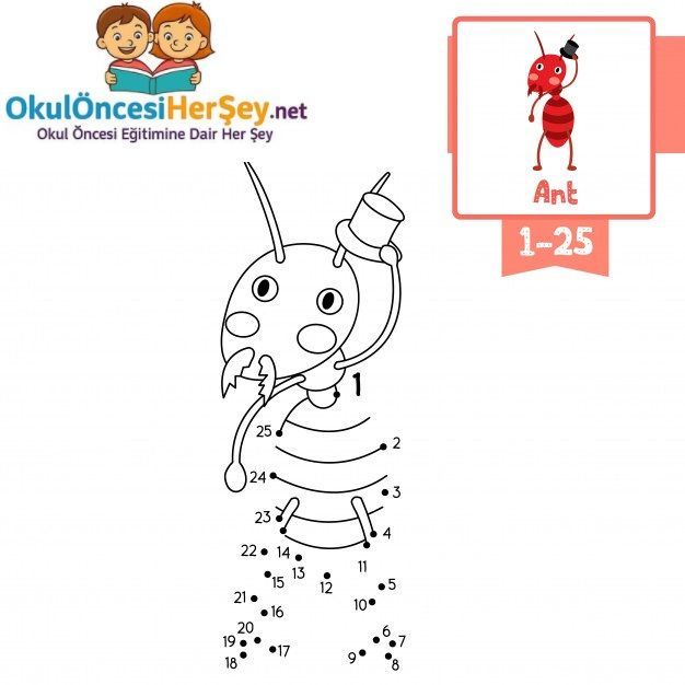 Çizgi Çalışmaları