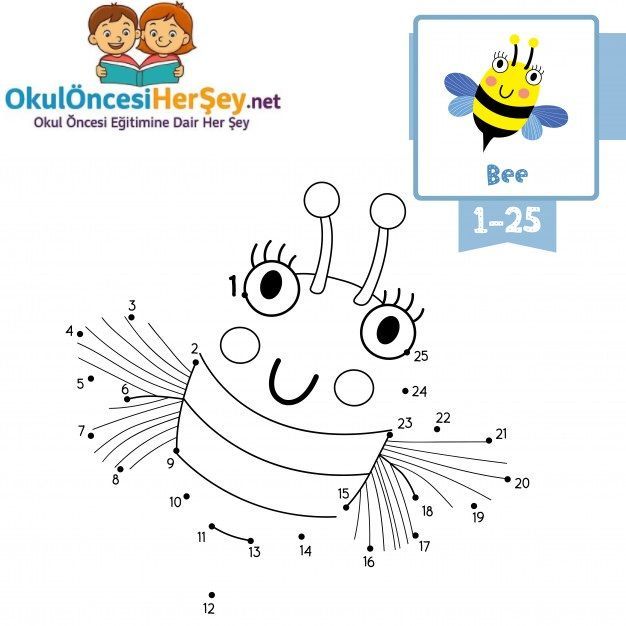 Çizgi Çalışmaları