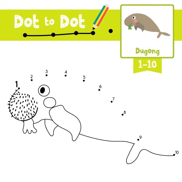 Çizgi Çalışmaları