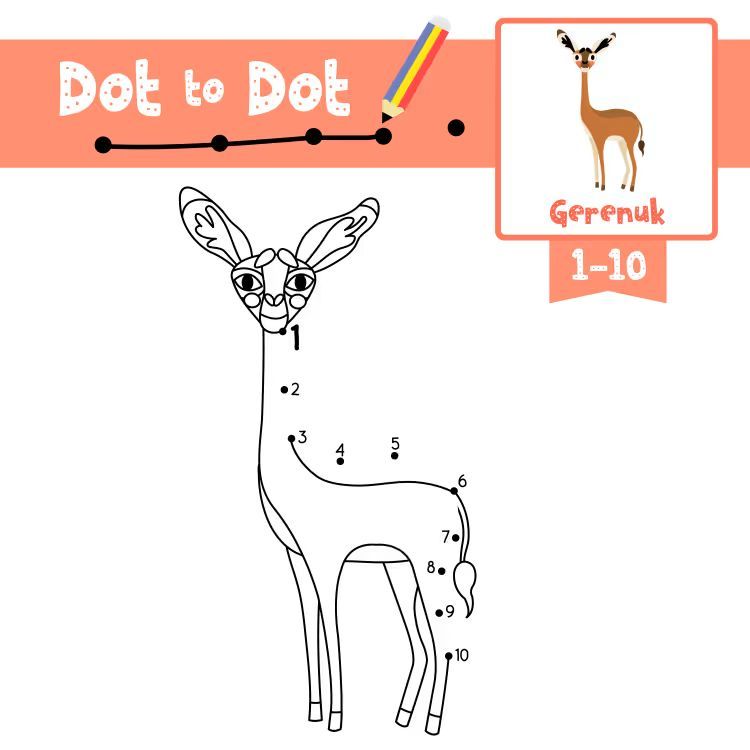 Çizgi Çalışmaları