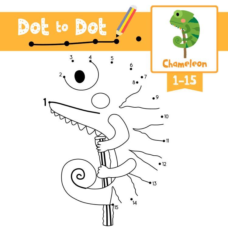 Çizgi Çalışmaları