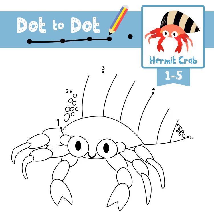 Çizgi Çalışmaları