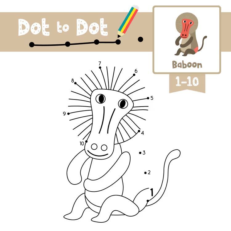 Çizgi Çalışmaları