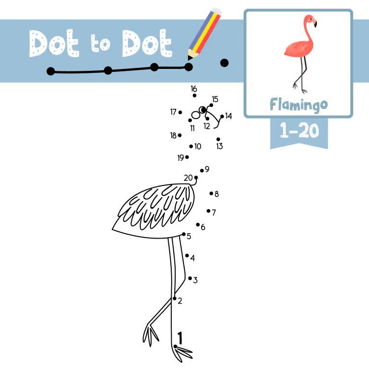 Çizgi Çalışmaları