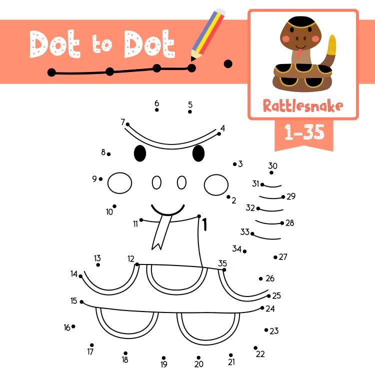 Çizgi Çalışmaları