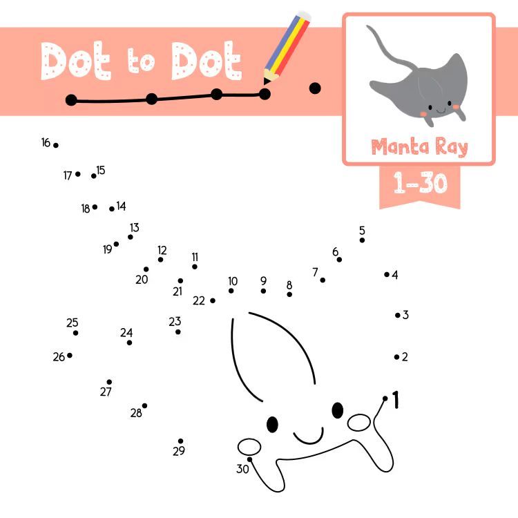 Çizgi Çalışmaları