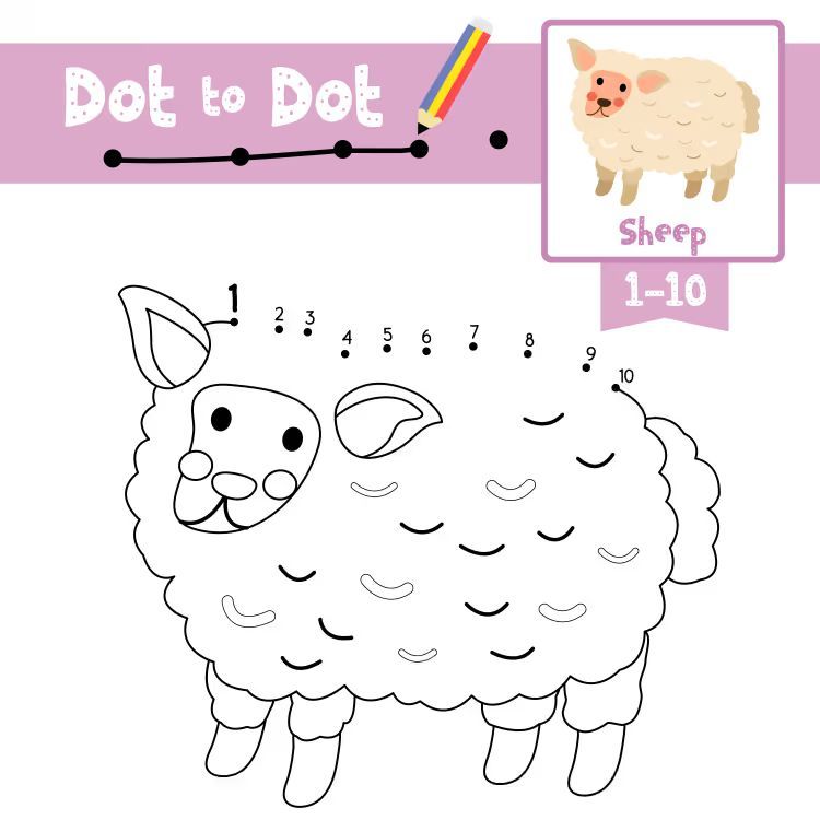 Çizgi Çalışmaları