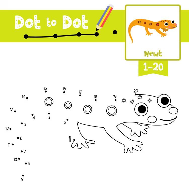 Çizgi Çalışmaları