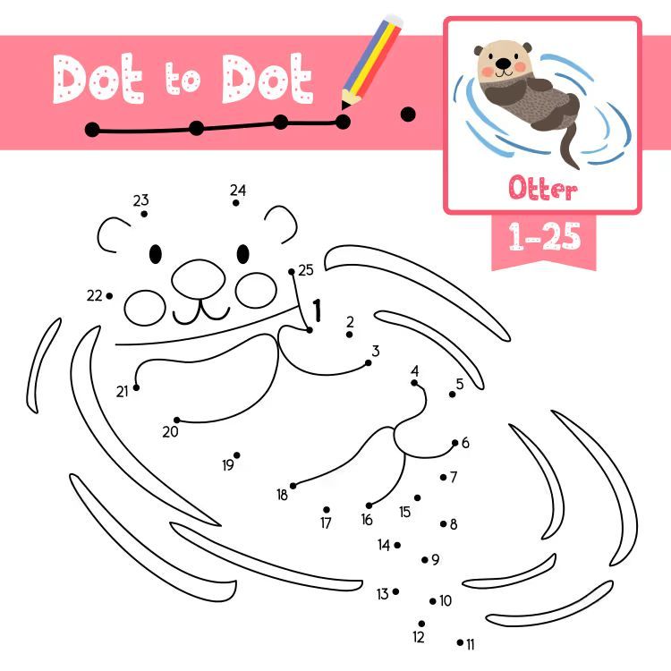 Çizgi Çalışmaları