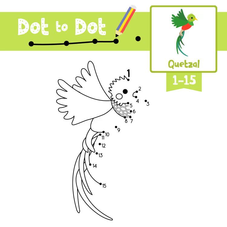 Çizgi Çalışmaları