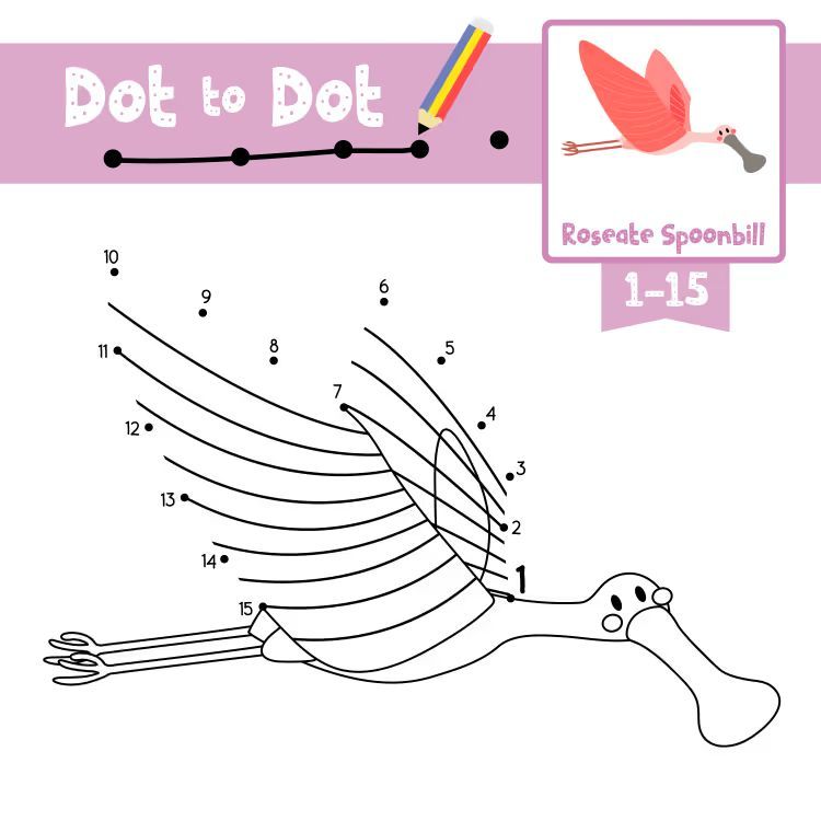 Çizgi Çalışmaları