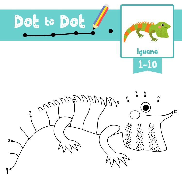 Çizgi Çalışmaları