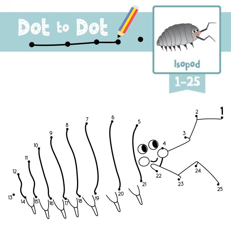 Çizgi Çalışmaları