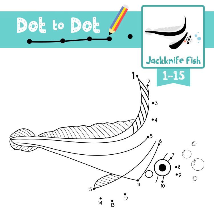 Çizgi Çalışmaları