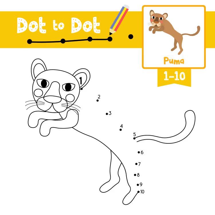 Çizgi Çalışmaları