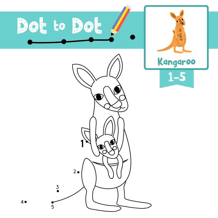 Çizgi Çalışmaları