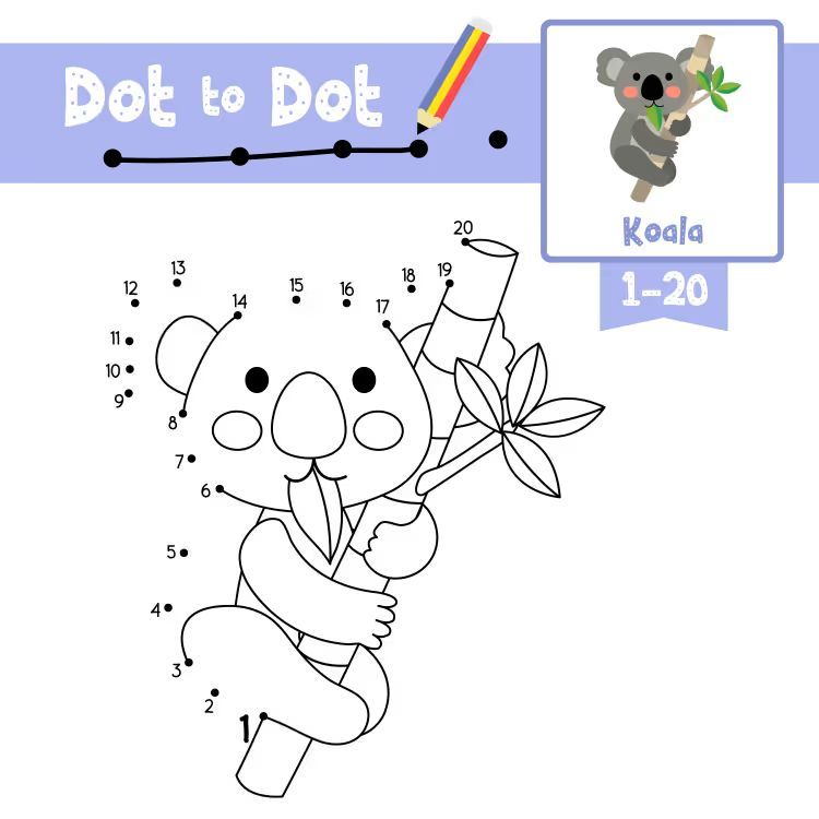 Çizgi Çalışmaları