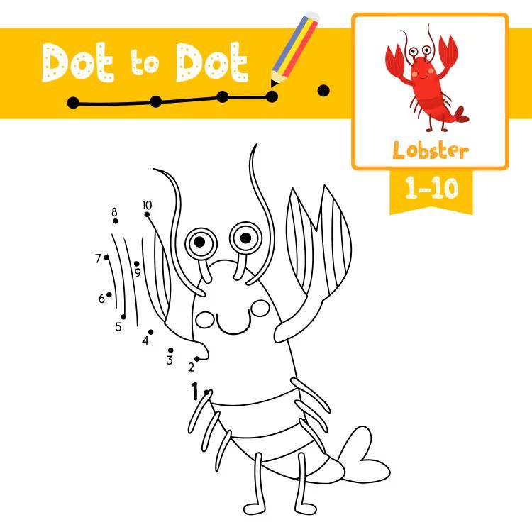 Çizgi Çalışmaları