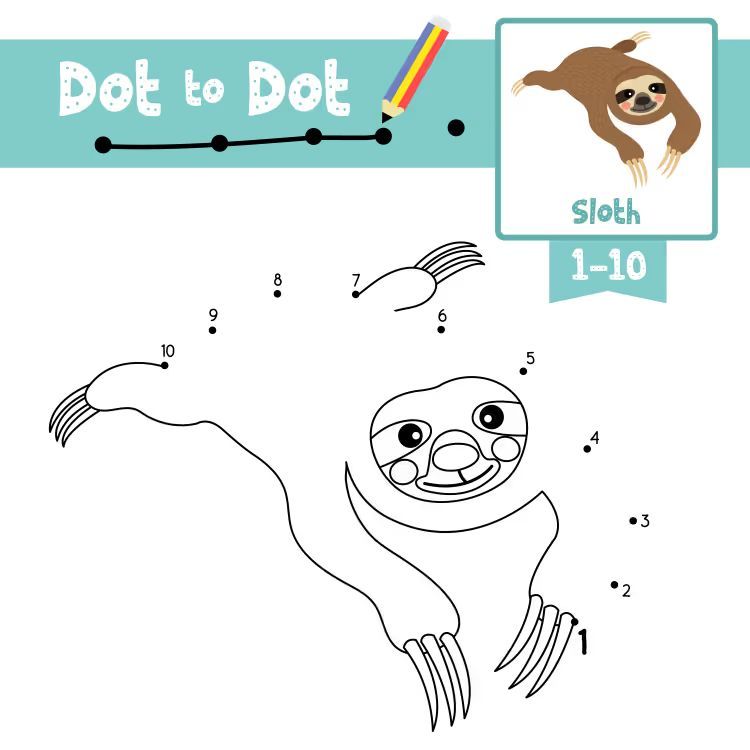 Çizgi Çalışmaları