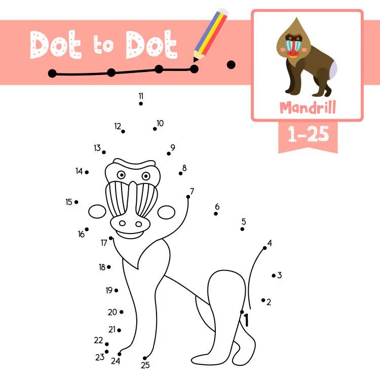 Çizgi Çalışmaları