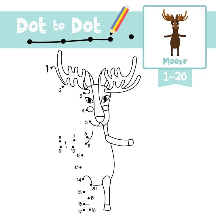 Çizgi Çalışmaları