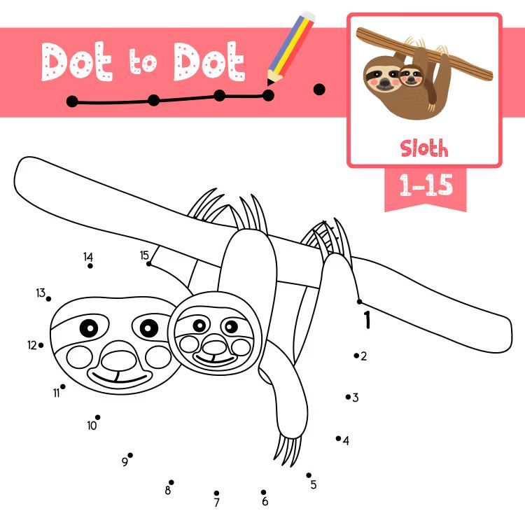 Çizgi Çalışmaları