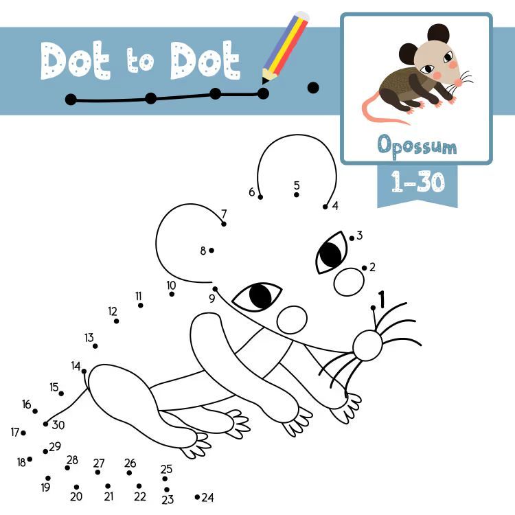 Çizgi Çalışmaları