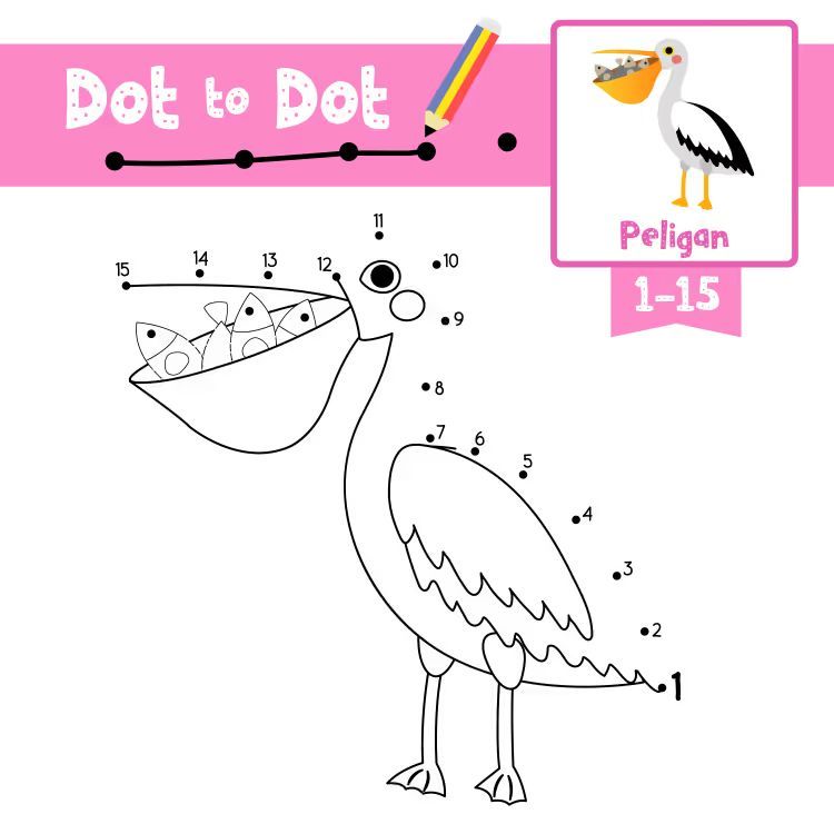 Çizgi Çalışmaları