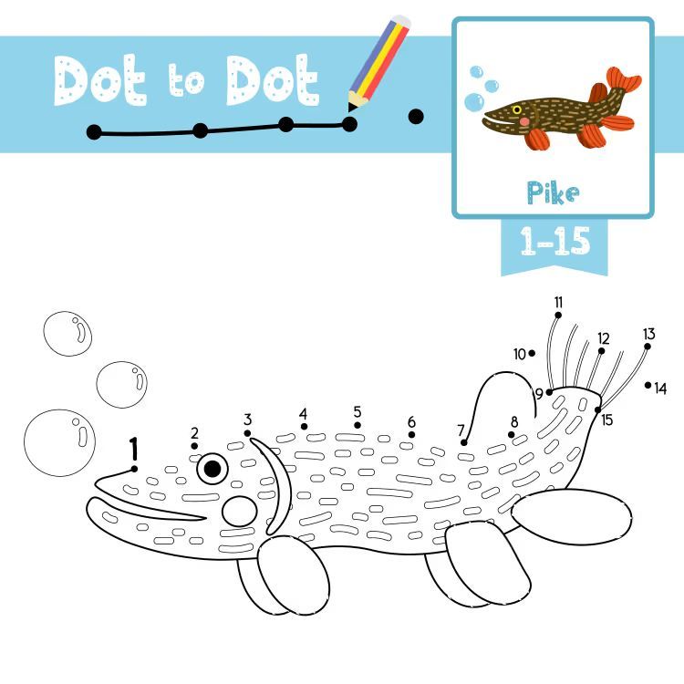 Çizgi Çalışmaları