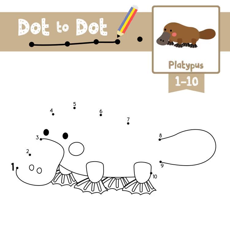 Çizgi Çalışmaları