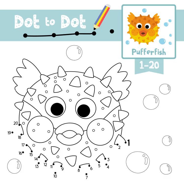 Çizgi Çalışmaları