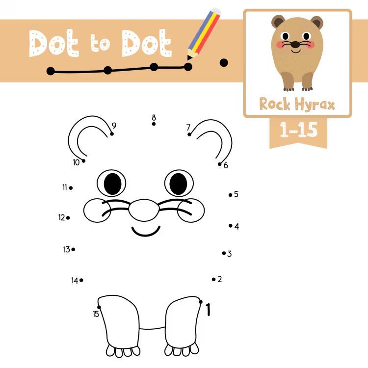 Çizgi Çalışmaları