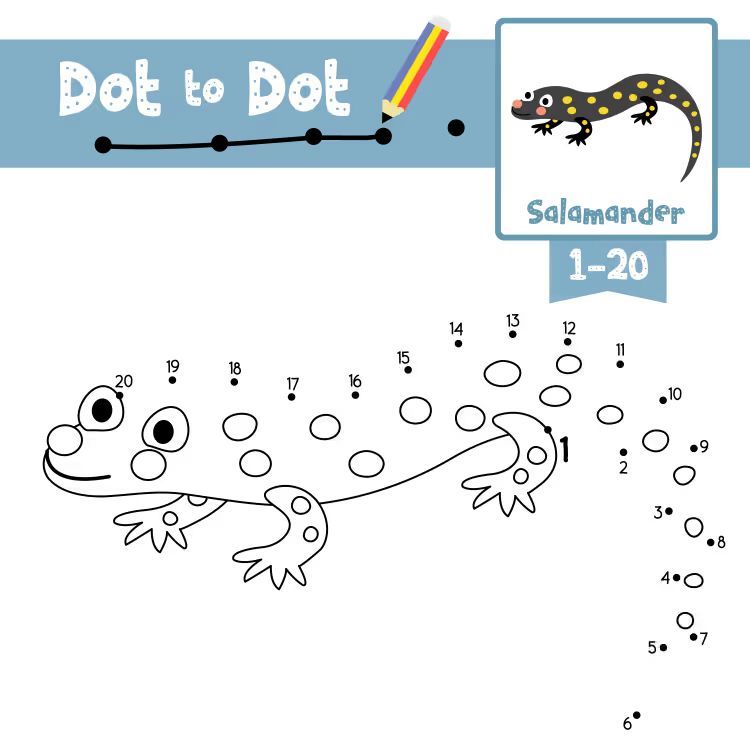 Çizgi Çalışmaları