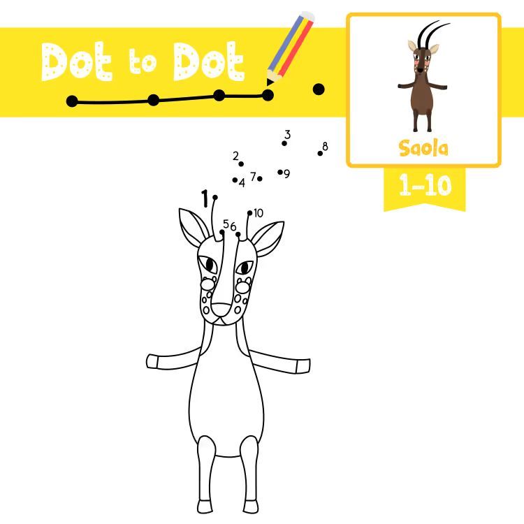 Çizgi Çalışmaları