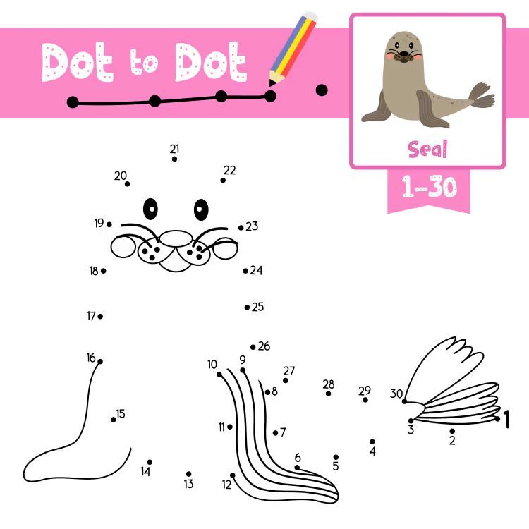 Çizgi Çalışmaları