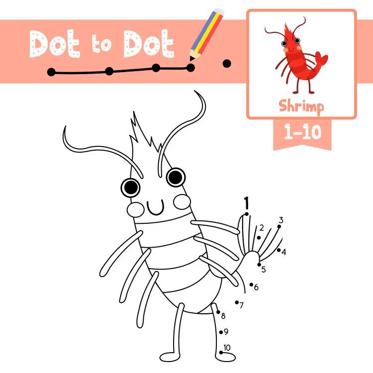 Çizgi Çalışmaları