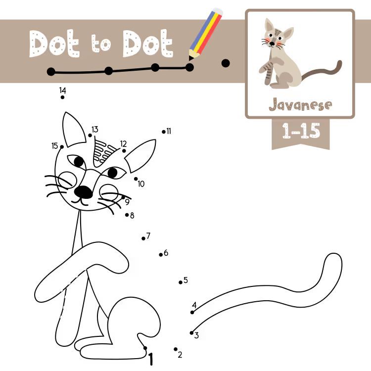 Çizgi Çalışmaları