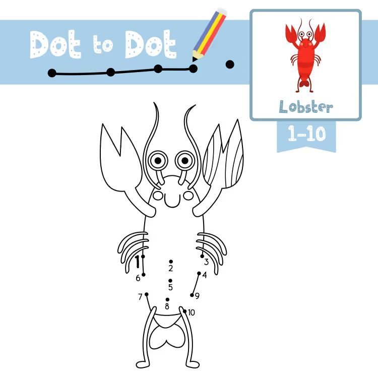 Çizgi Çalışmaları