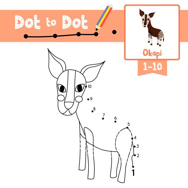 Çizgi Çalışmaları