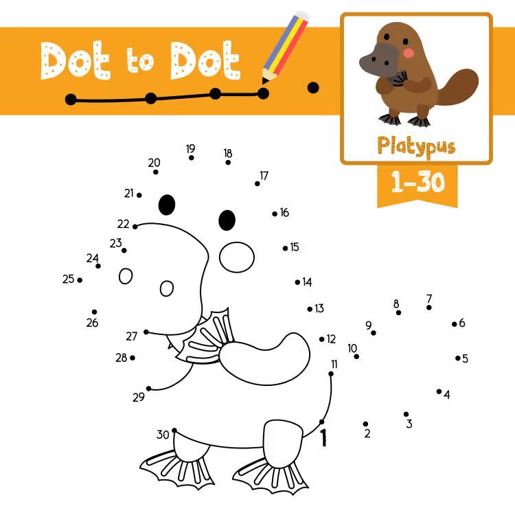 Çizgi Çalışmaları