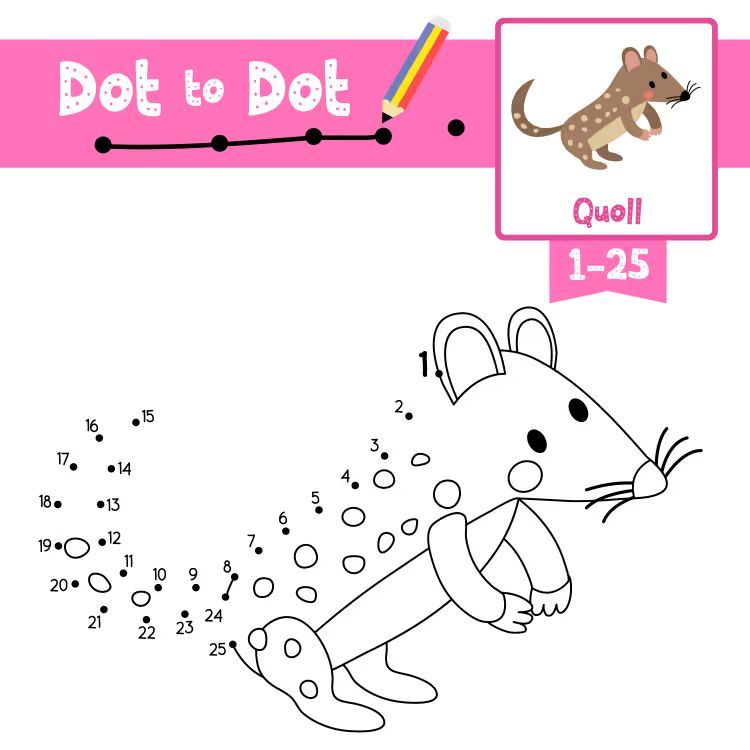 Çizgi Çalışmaları